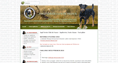 Desktop Screenshot of jagdterrier.org